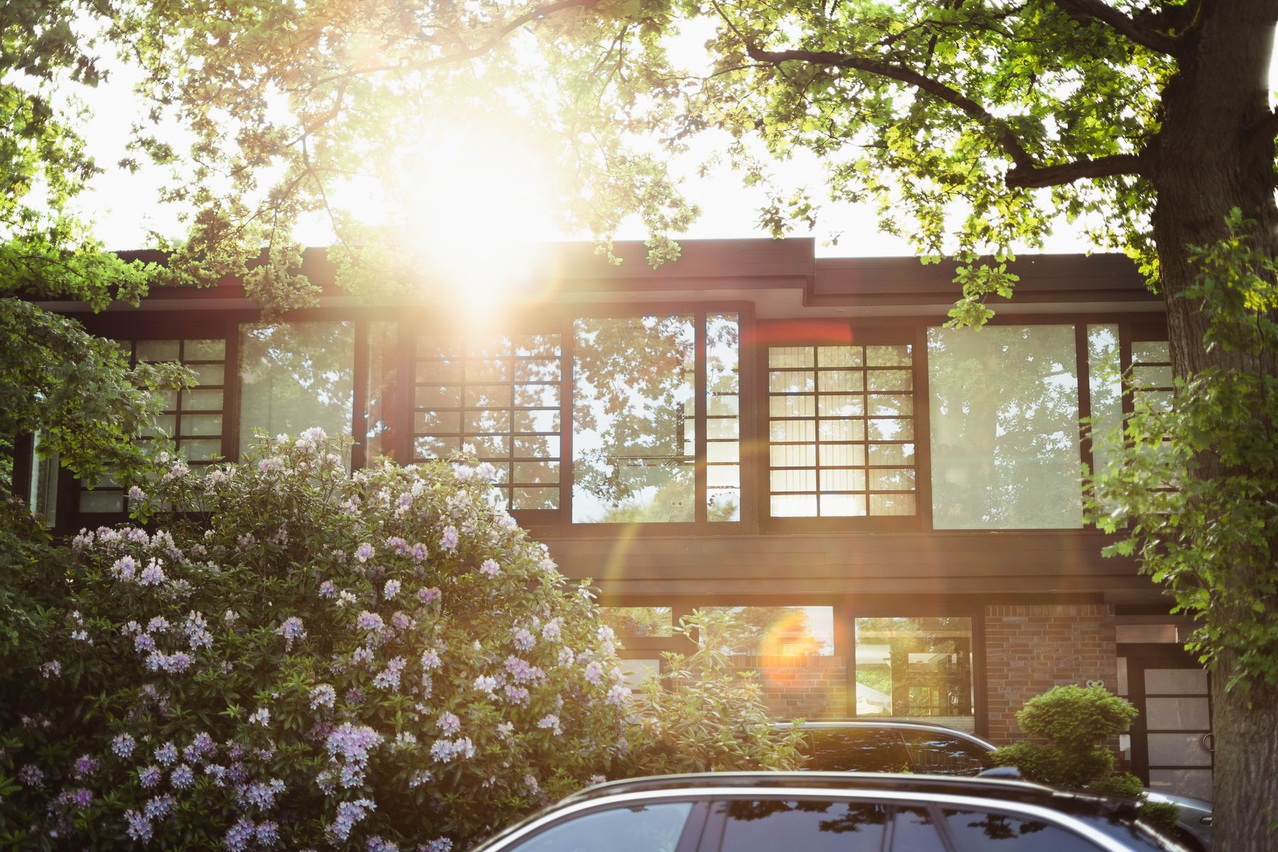 Sunlit home with large windows in Rosemont CA